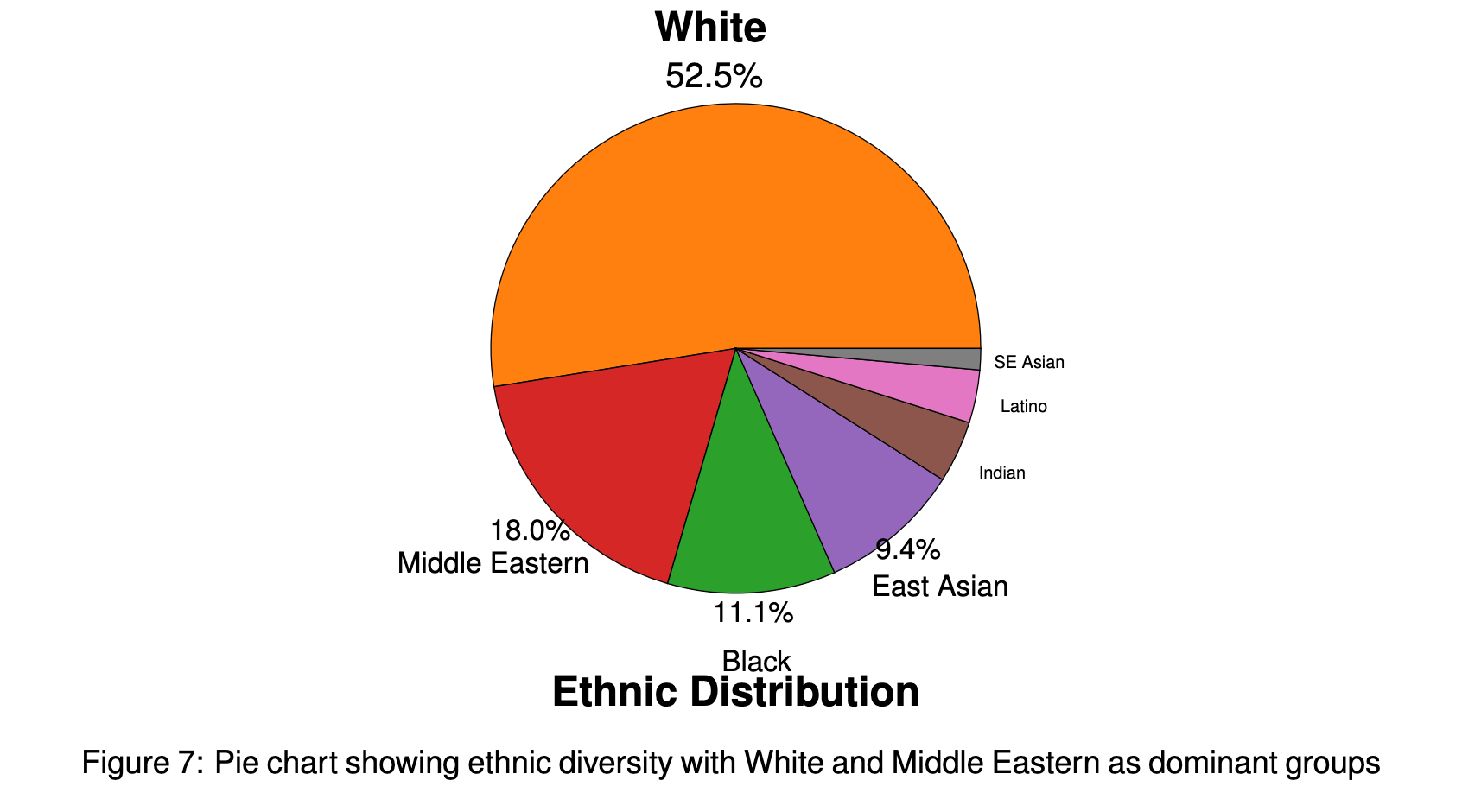 TVFace ethnicity-distribution pie chart